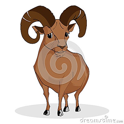 Wild Ram Vector Illustration