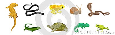 Wild Reptiles with Cobra, Turtle, Lizard and Snake Vector Set Vector Illustration