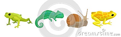 Wild Reptiles with Frog, Snail and Chameleon Vector Set Vector Illustration