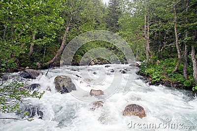 Wild river Stock Photo