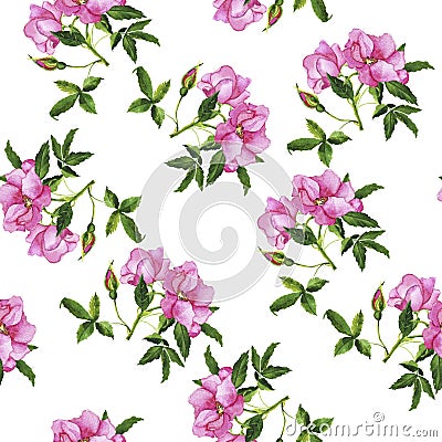 Wild rose bouquet pattern. Hand drawn watercolor. Cartoon Illustration