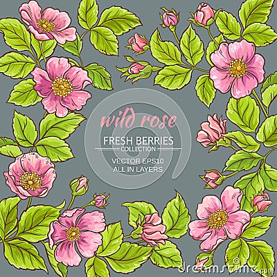 Wild rose flowers frame Vector Illustration