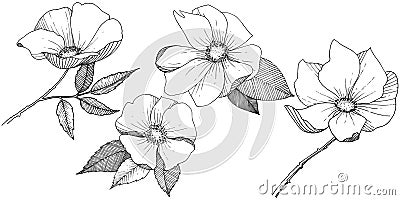 Wild rose in a vector style isolated. Vector Illustration
