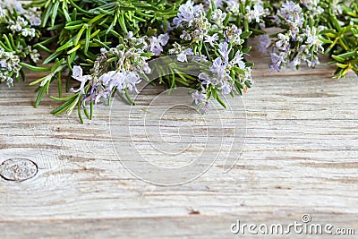 Wild rosemary with flowers on the old wooden table Stock Photo
