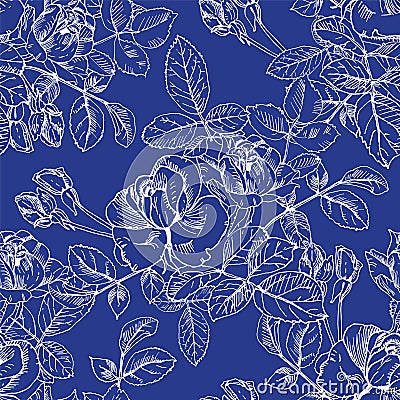 Wild roses plant with flowers in white ink on blue. Hand drawn vector etch style seamless surface pattern. Buds, leaves Vector Illustration