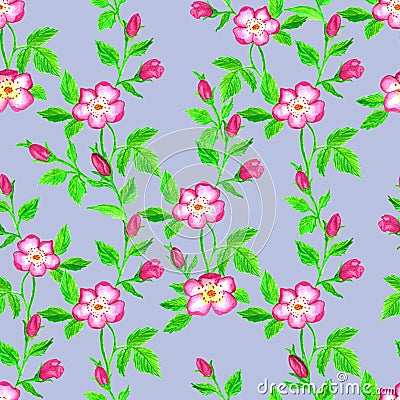 Wild roses watercolor seamless pattern. Flowers, leaves. Floral background. Fabric design, wallpaper Stock Photo