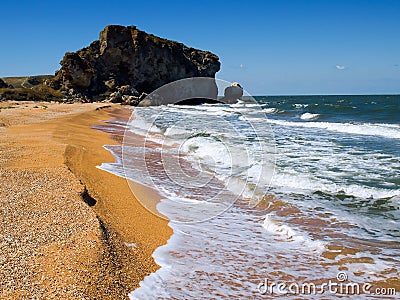 Wild seashore. Stock Photo