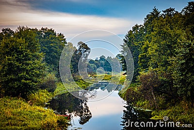 Wild silent Forest river reflection autumn landscape. Autumn forest river water panorama. Forest river reflection in autumn Stock Photo