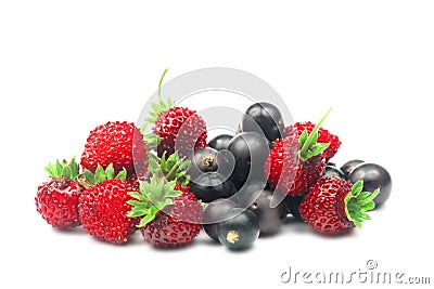Wild strawberry and blackcurrant. Stock Photo