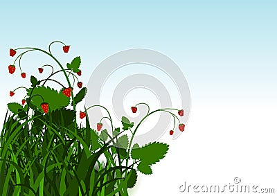 Wild Strawberry Bush Vector Illustration