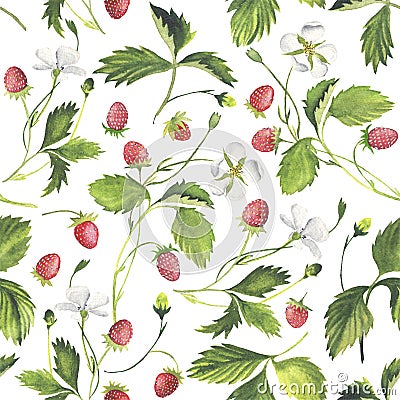 Wild Strawberry Seameless Pattern. Watercolor Stock Photo
