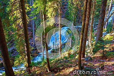 A wild stream crosses the bavarian forest Stock Photo