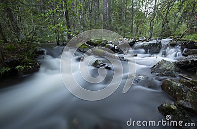 Wild stream in a forest in dalarna, Sweden Stock Photo