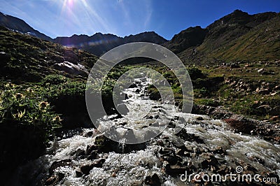 Wild stream in the highlands mountains in South Tyrol Italy europe Stock Photo