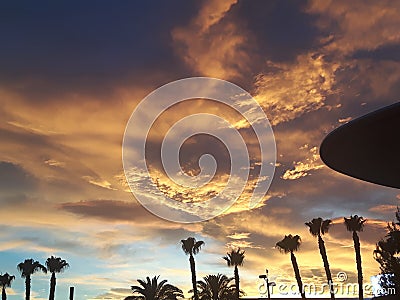 Wild sunset clouds with palm trees Stock Photo