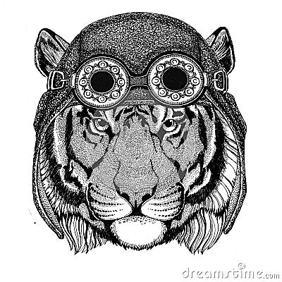 Wild tiger wearing aviator hat Motorcycle hat with glasses for biker Illustration for motorcycle or aviator t-shirt with Vector Illustration