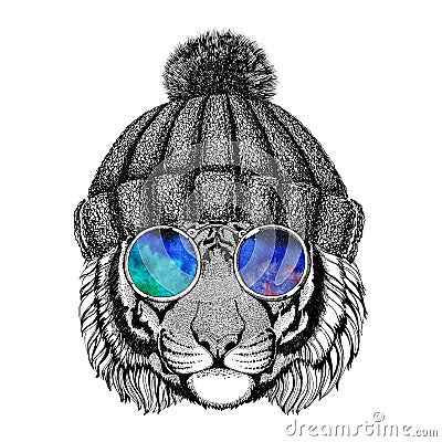 Wild tiger wearing hippie glasses and knitted hat Hipster animal Picture for tattoo, logo, emblem, badge design Stock Photo