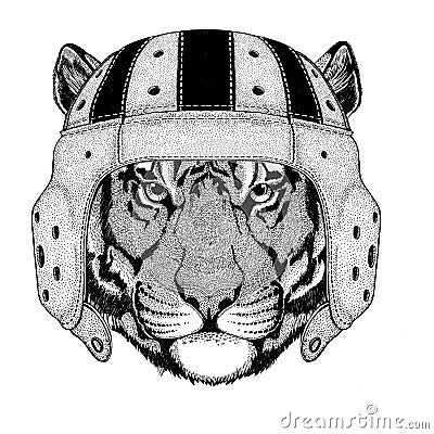 Wild tiger Wild animal wearing rugby helmet Sport illustration Vector Illustration