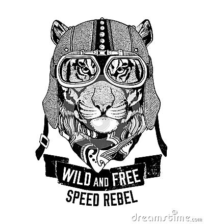 Wild tiger Wild cat Be wild and free T-shirt emblem, template Biker, motorcycle design Hand drawn illustration Stock Photo