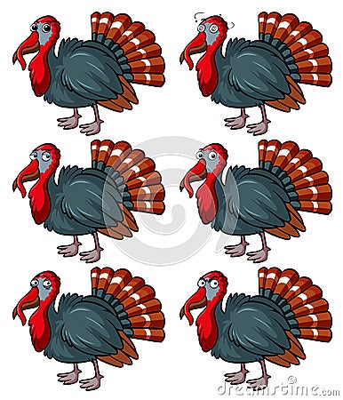 Wild turkey with different emotions Vector Illustration