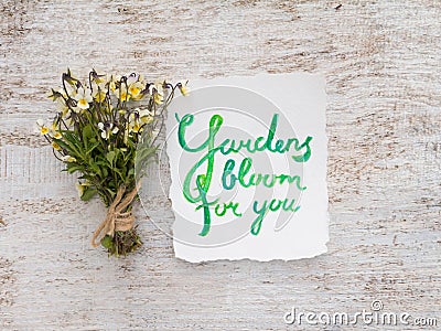 Wild viola flowers bouquet and watercolor lettering Stock Photo