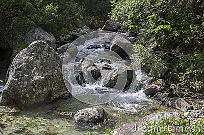 Wild water, stream Maly studeny potok in High Tatras, summer touristic season, wild nature Stock Photo