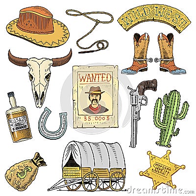 Wild west, rodeo show, cowboy or indians with lasso. hat and gun, cactus with sheriff star and bison, boot with Vector Illustration