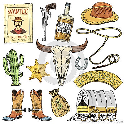 Wild west, rodeo show, cowboy or indians with lasso. hat and gun, cactus with sheriff star and bison, boot with Vector Illustration