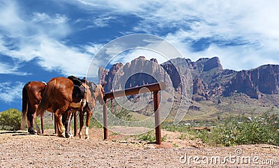 Wild West Town Horses tied to post Stock Photo