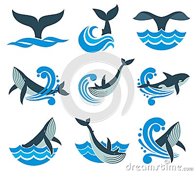 Wild whale in sea waves and water splashes vector icons Vector Illustration