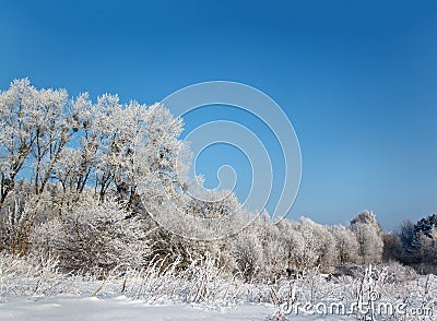 Wild winter scenery Stock Photo