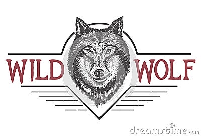 Wild wolf vector Vector Illustration