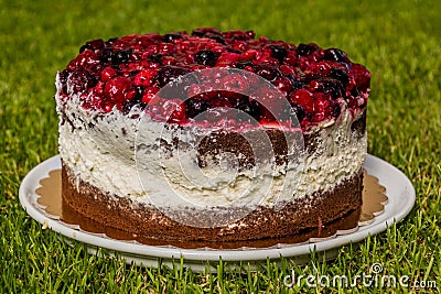 Wildberry cake on a gra Stock Photo
