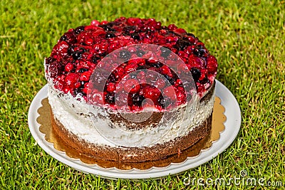 Wildberry cake on a gra Stock Photo