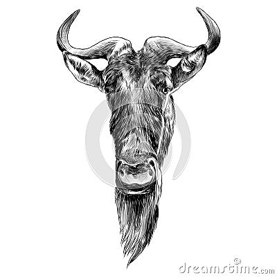 Wildebeest head sketch vector graphics Vector Illustration