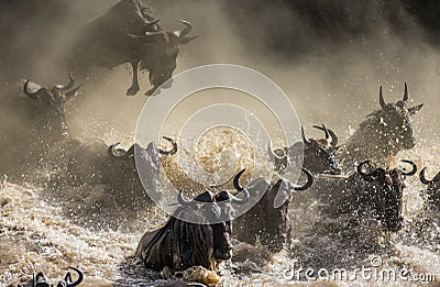 Wildebeest jumping into Mara River. Great Migration. Kenya. Tanzania. Masai Mara National Park. Cartoon Illustration