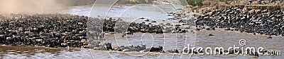 Wildebeests are crossing Mara river. Great Migration. Kenya. Tanzania. Masai Mara National Park. Cartoon Illustration