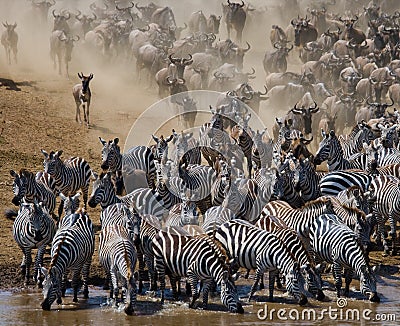 Wildebeests are runing to the Mara river. Great Migration. Kenya. Tanzania. Masai Mara National Park. Cartoon Illustration