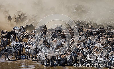 Wildebeests are runing to the Mara river. Great Migration. Kenya. Tanzania. Masai Mara National Park. Cartoon Illustration