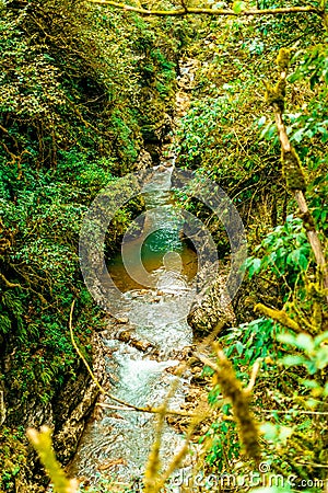 The wilderness of the cliff of the mountain river Stock Photo