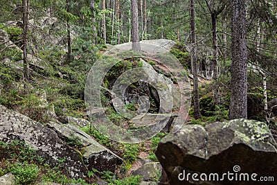 Wilderness landscape forest with pine trees and moss on rocks. Big old stones Stock Photo