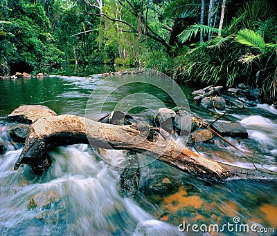 Wilderness River Rapids Stock Photo