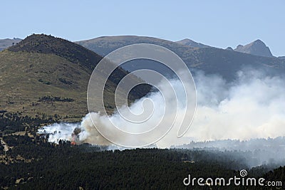 Wildfire! Stock Photo