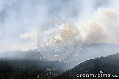 Wildfire! Stock Photo