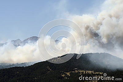 Wildfire! Stock Photo