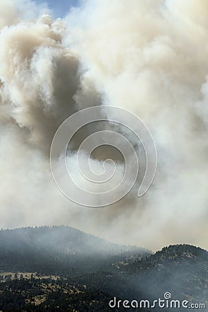 Wildfire! Stock Photo