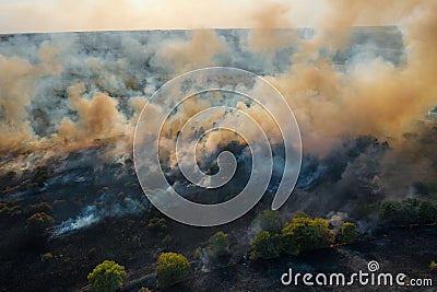 Wildfire aerial view. Fire and smoke. Burning forest. Dry grass and trees burns Stock Photo