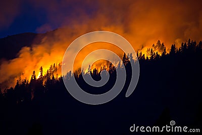 Wildfire with dark blue sky behind Stock Photo