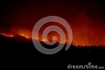 Wildfire disaster - fire burning mountain in night time Stock Photo