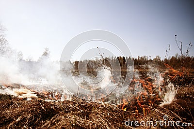 Wildfire. Fire. Global warming, environmental catastrophe. Concept man helpless before natural disaster. Protection Stock Photo